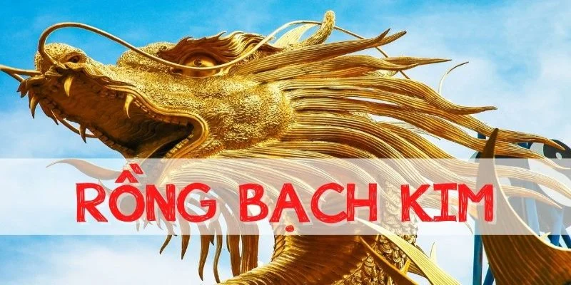 Đôi nét về soi cầu bạch kim 666